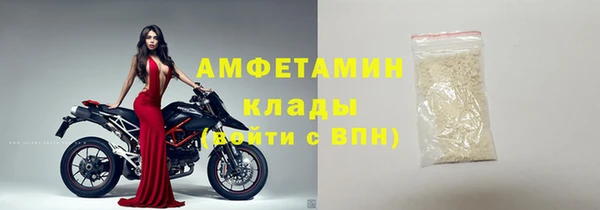 молекула духа Кулебаки