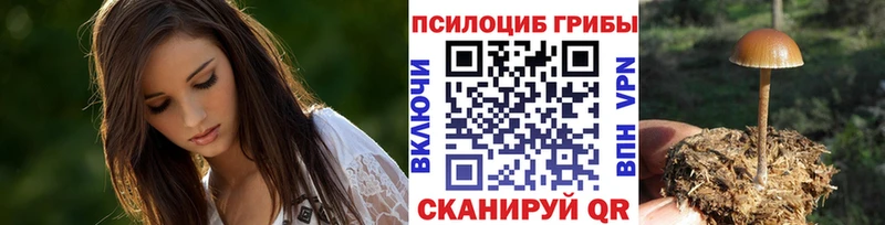 Купить где  Донецк  Псилоцибиновые грибы Psilocybine cubensis 